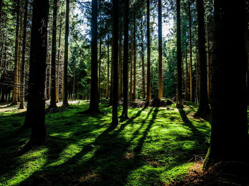 小镇做题家<br>lyv4augd.cn 985废物引进计划